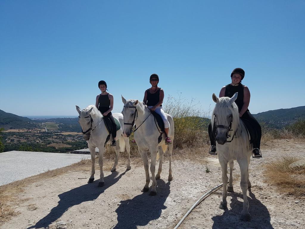 Arrabida Heritage @Portugal Luxury Retreat Guest House Azeitao Luaran gambar